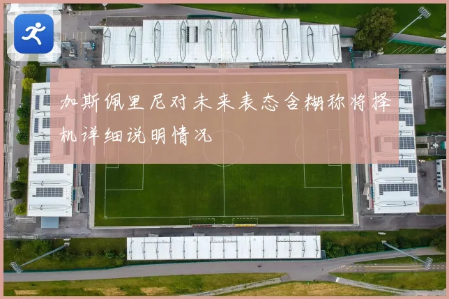 加斯佩里尼对未来表态含糊称将择机详细说明情况