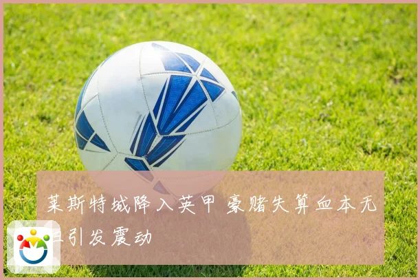 莱斯特城降入英甲 豪赌失算血本无归引发震动