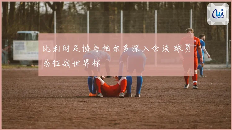 比利时足协与帕尔多深入会谈 球员或征战世界杯